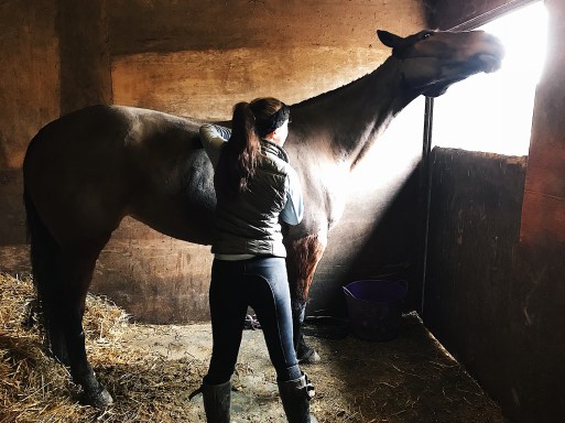 527aafca-a600-40be-94ae-6bb7018e9620