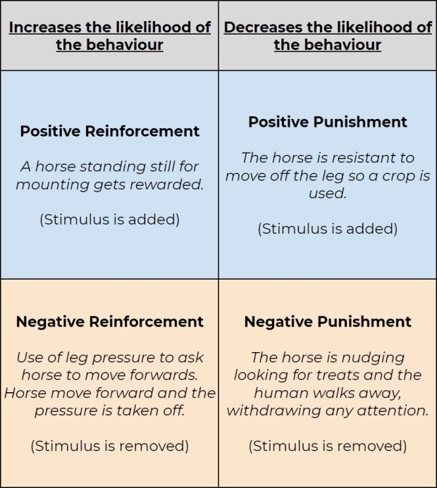 positive reinforcement